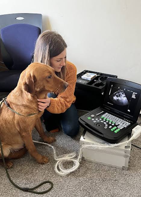 AI-Powered Pregnancy Ultrasound